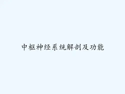 中枢神经系统解剖及功能-PPT