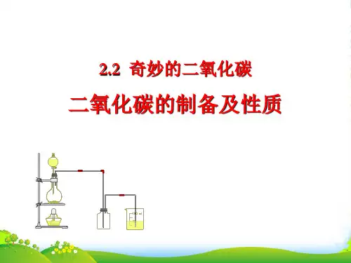 沪教版九年级上册化学 2.2 奇妙的二氧化碳 课件 (共15张PPT)