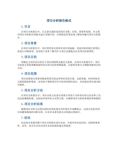 项目分析报告格式