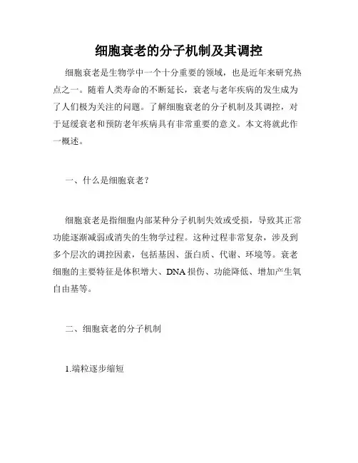 细胞衰老的分子机制及其调控