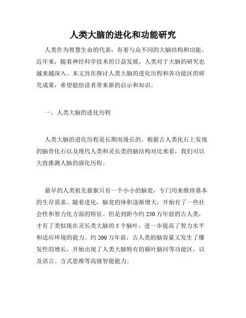人类大脑的进化和功能研究