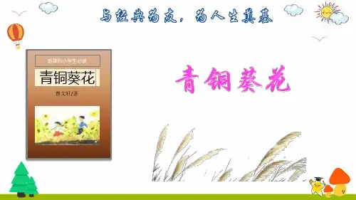 《青铜葵花》小学名著导读PPT课件