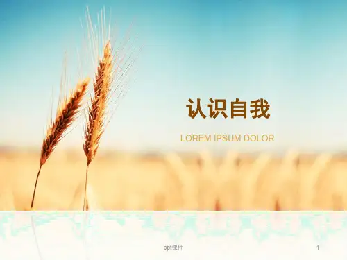 自我认知  ppt课件
