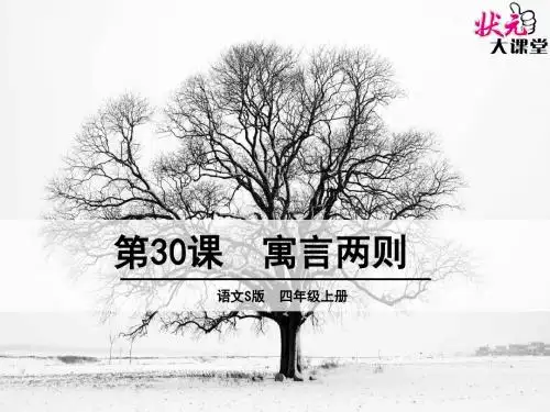寓言掩耳盗铃ppt课件