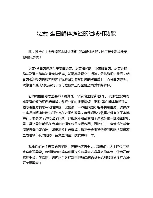 泛素-蛋白酶体途径的组成和功能