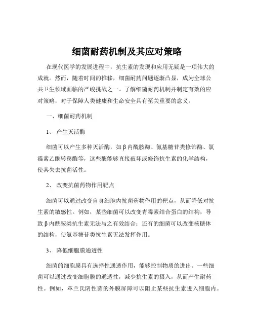 细菌耐药机制及其应对策略