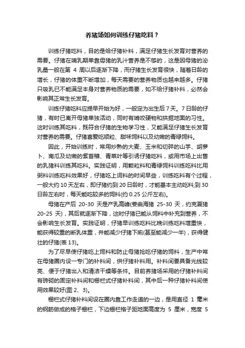 养猪场如何训练仔猪吃料？