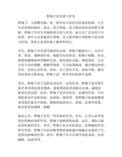 野梅子的功效与作用