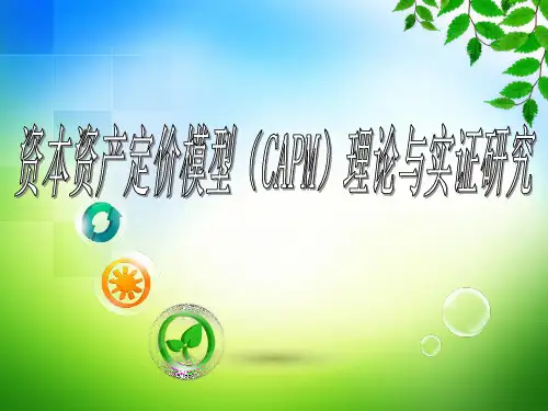 资本资产定价模型的理论与实践研究