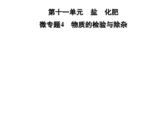九年级化学人教版下册课件：第十一单元 微专题4 物质的检验与除杂(共27张PPT)