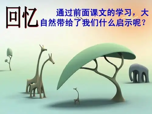 12. 大自然的启示