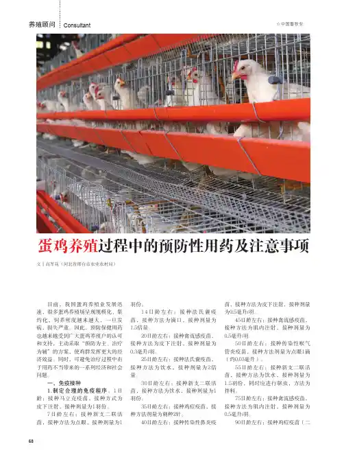蛋鸡养殖过程中的预防性用药及注意事项