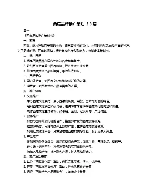 西藏品牌推广策划书3篇
