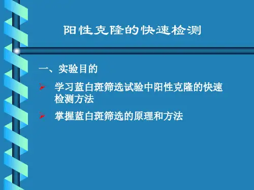 (蓝白斑筛选) lacZ - β-半乳糖苷酶