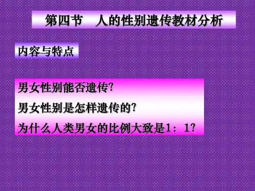 《人的性别遗传》课件11(18页)(人教版八年级下)
