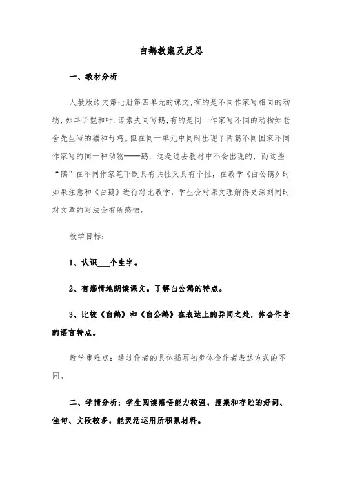 白鹅教案及反思（四篇）