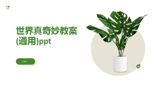 世界真奇妙动画教案(通用)ppt