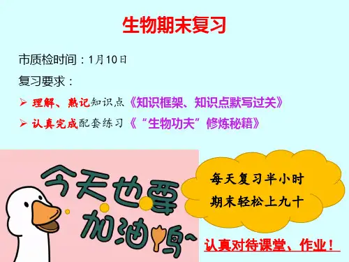 期末总复习课件-2022-2023学年人教版生物八年级上册