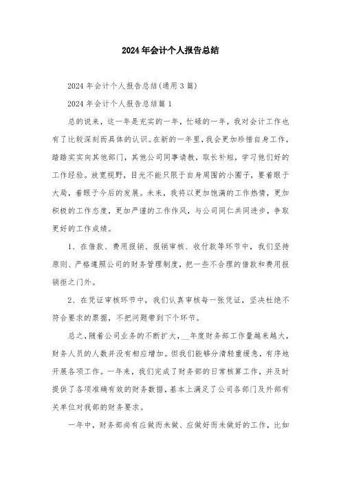 2024年会计个人报告总结