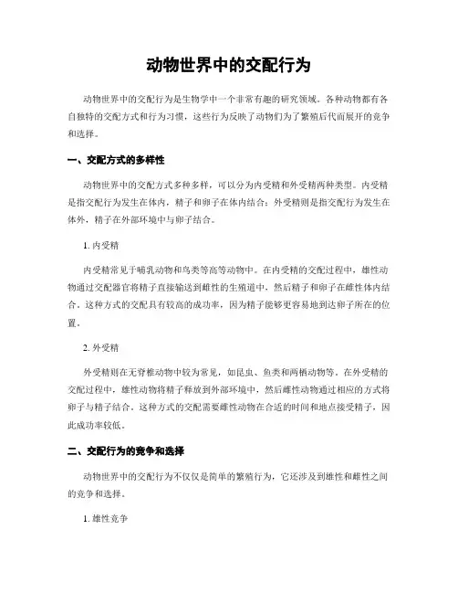 动物世界中的交配行为
