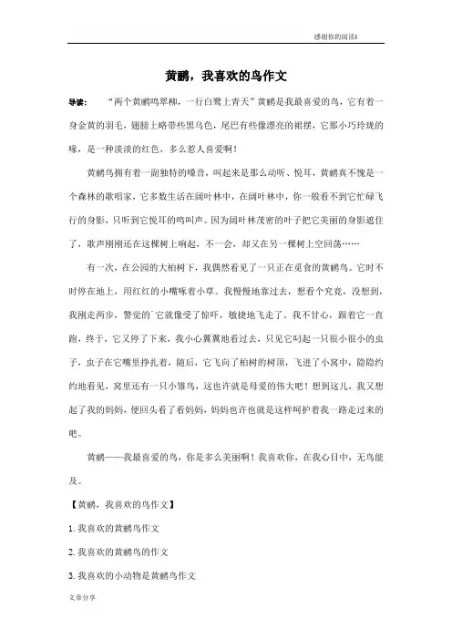 黄鹂,我喜欢的鸟作文