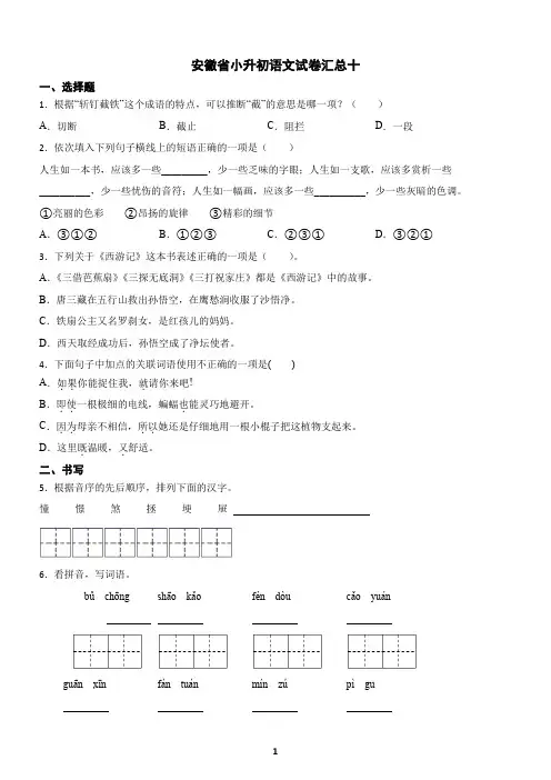 安徽省小升初语文试卷汇总十(含答案)