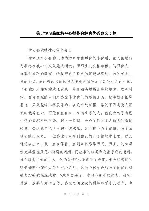 关于学习骆驼精神心得体会经典优秀范文3篇