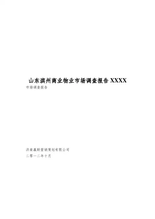 山东滨州商业物业市场调查报告XXXX