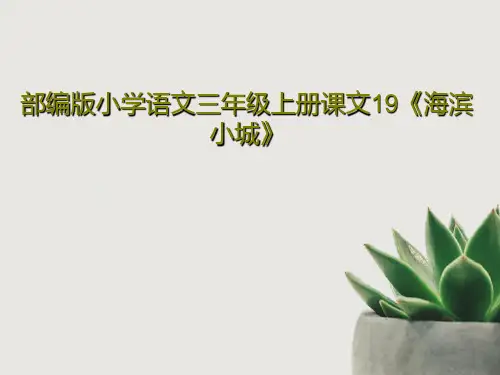 部编版小学语文三年级上册课文19《海滨小城》共38页PPT