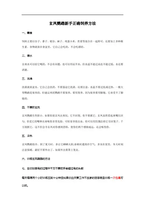 玄凤鹦鹉新手正确饲养方法