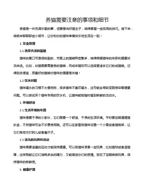 养猫需要注意的事项和细节