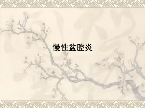 慢性盆腔炎的中医