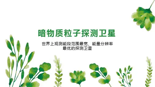 暗物质粒子探测卫星