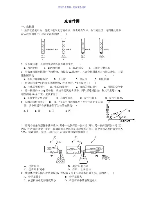 高三生物光合作用练习题及答案
