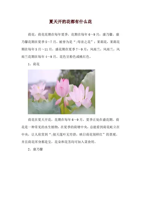夏天开的花都有什么花