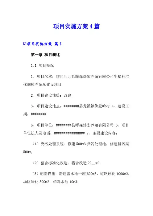(word版)项目实施方案4篇