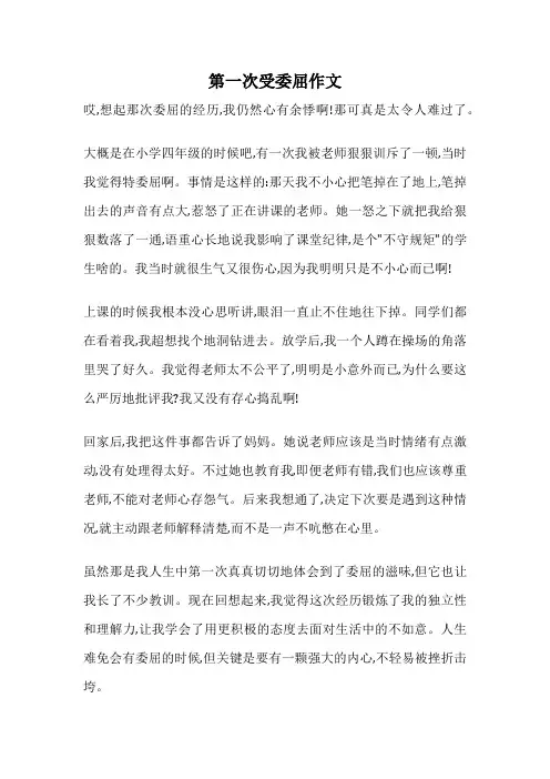 第一次受委屈作文