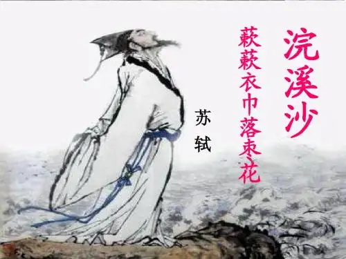 苏轼《浣溪沙》蔌蔌衣巾落枣花的课件