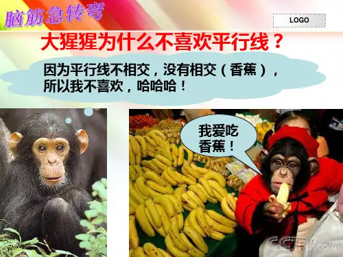 七年级第五章相交线与平行线复习课PPT课件