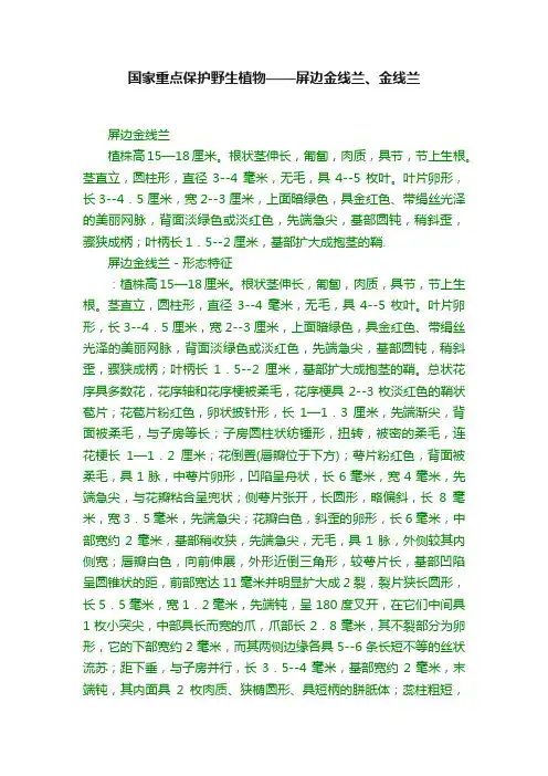 国家重点保护野生植物——屏边金线兰、金线兰