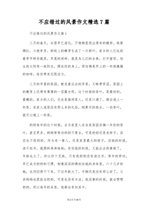 不该错过的风景作文精选7篇