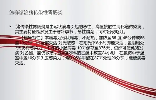 猪传染性胃肠炎1