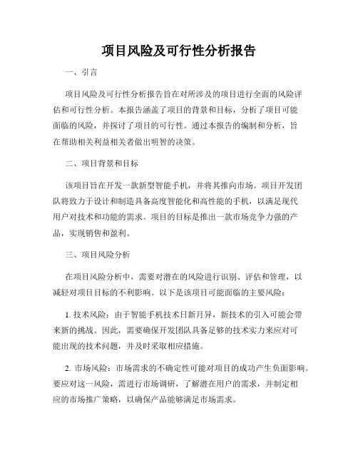 项目风险及可行性分析报告