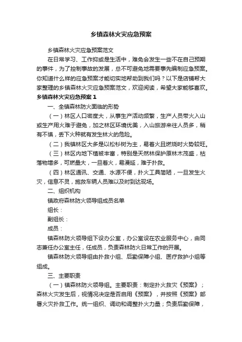 乡镇森林火灾应急预案