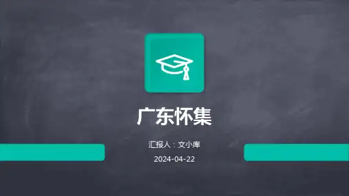 广东怀集.pptx