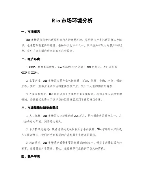 Rio市场环境分析