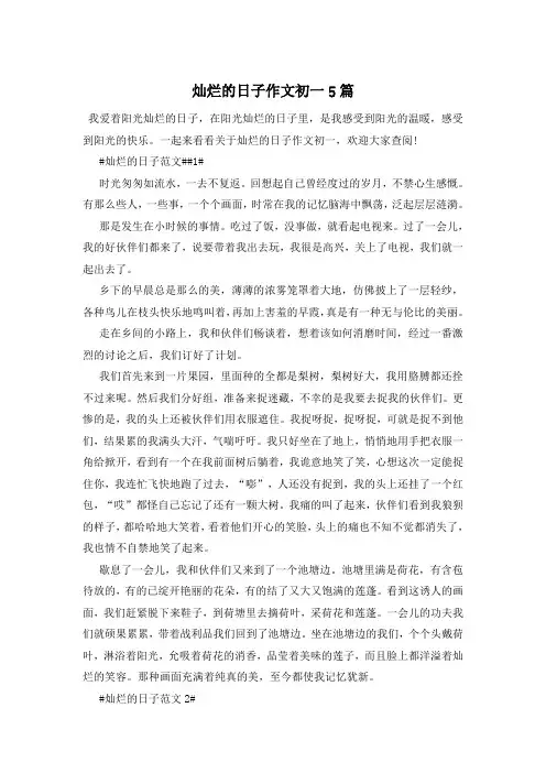 灿烂的日子作文初一5篇