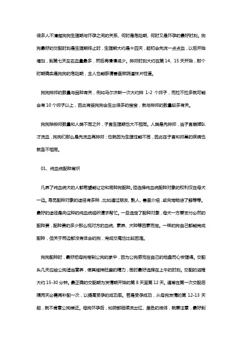 生小狗注意事项