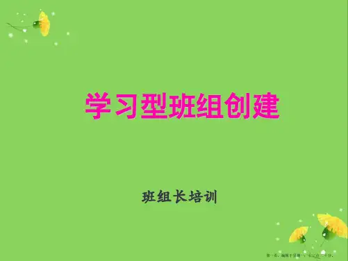 学习型班组创建(47页ppt)