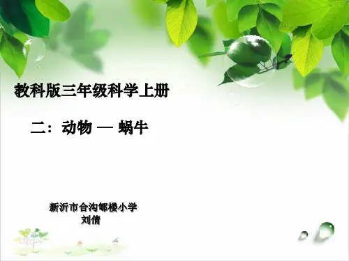 三年级上册科学-蜗牛优秀课件教科版